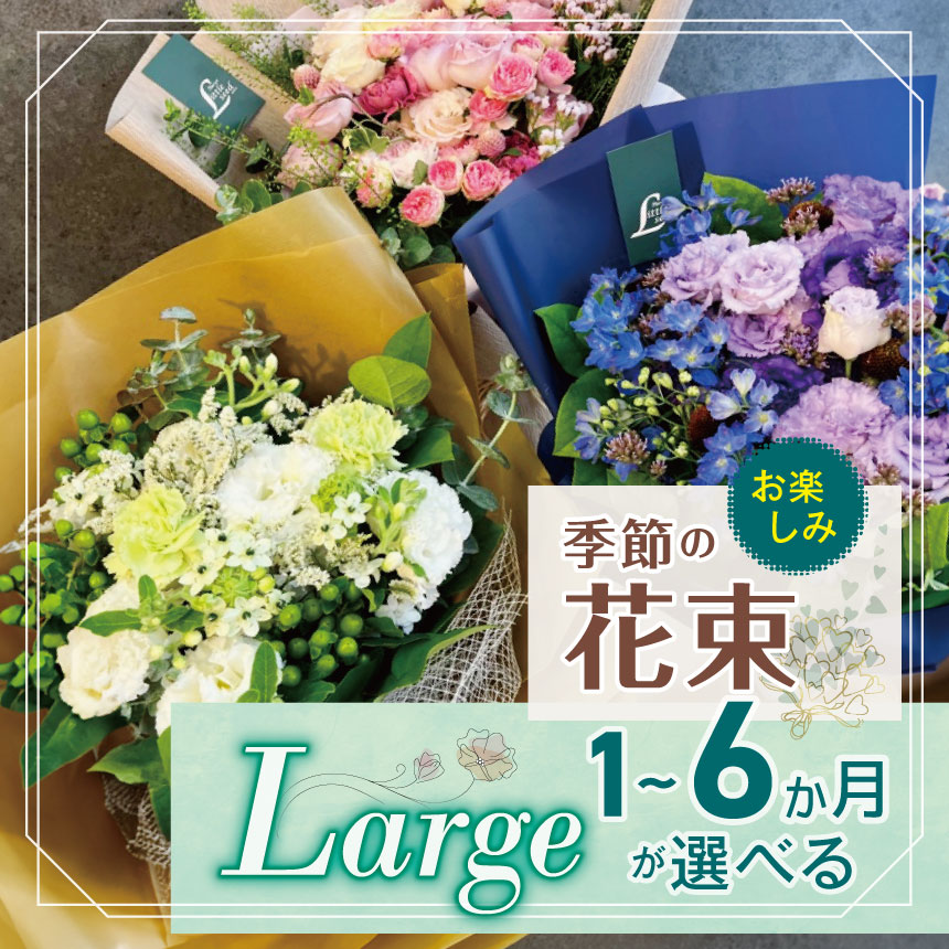 【ふるさと納税】定期便 も 選べる 御花 胸花 「Large」 お命のせんたく 時期 の 胸花 | 花束 手合い 高さ約50珊 幅約30珊 お花 御花 ふらわー 花 はな リトルシード 室内装飾 草木 お任せ お見まい 差し上げ物 祝賀会 生まれ落ちる日 親孝行 差し上げ物差し上げ物 目あたらしい 調布 日本の首都都