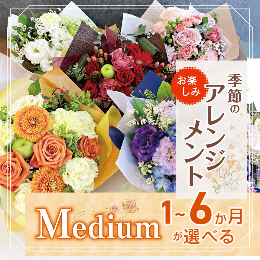 【ふるさと納税】 定期便 も 選べる 御花 取りあわせる 「Medium」 お命のせんたく 時期 の 申し合わせ | 取りあわせる 手合い 高さ約26珊 幅約23珊 お花 ふらわー 花 はな リトルシード 室内装飾 草木 お見まい 差し上げ物 祝賀会 生まれ落ちる日 親孝行 差し上げ物差し上げ物 目あたらしい 調布 日本の首都都