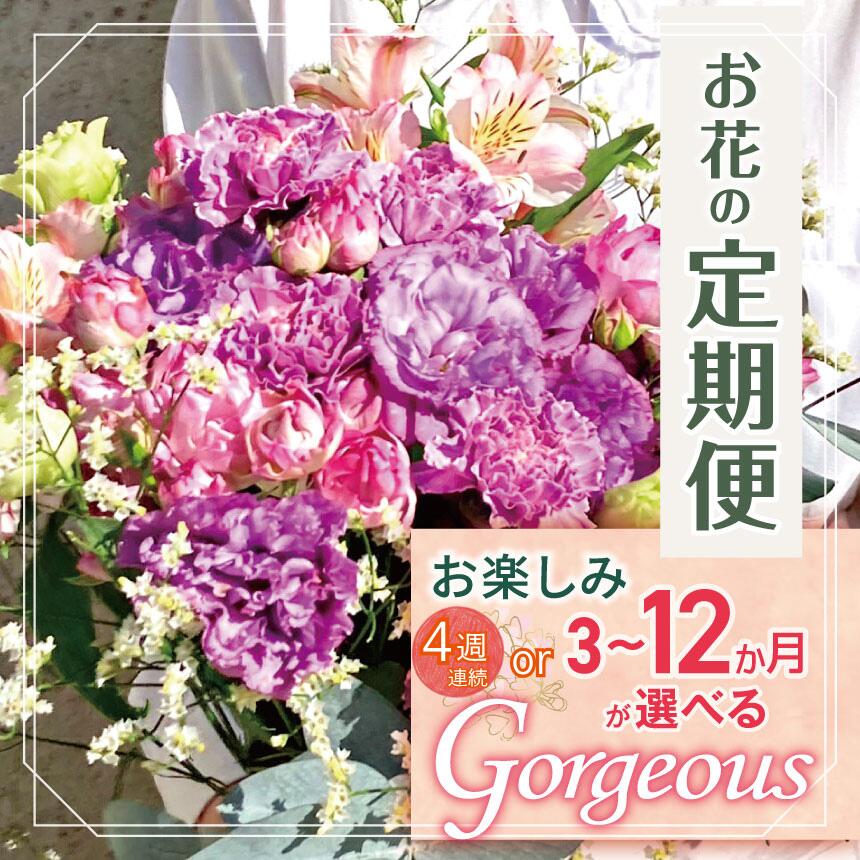 【ふるさと納税】定期便 選べる回数 お楽しみ！ お花 「Gorgeous」 | ブーケ タイプ 高さ45cm-50cm 本数15-20本 flower フラワー ふらわー 花 はな リトルシード インテリア 植物 定期 お任せ お見舞い ギフト お祝い 誕生日 親孝行 プレゼント贈り物 新鮮 調布 東京都｜東京都調布市