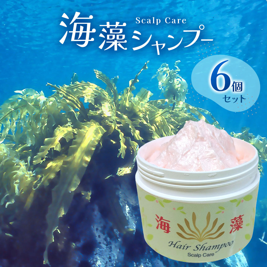 【ふるさと納税】  シャンプー 50年超のロングセラー 海草 シャンプー 6個 仕掛ける | ロングセラー 石ケンシャンプー コラーゲン ノンケイ素樹脂 海草抽き出し構成要素 美容 頭皮 保湿 思わしい 調布 日本の首都都 貨物輸送無料