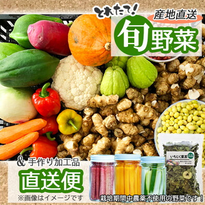 【ふるさと納税】〈2026年6月~9月発送 冷蔵便〉【東京都東久留米市】旬野菜と加工品のセット 10品以上【配送不可地域:離島】【1536310】|東京都東久留米市