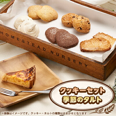 【ふるさと納税】焼き菓子セット(B)(クッキーセット、季節のタルト)【配送不可地域：離島】【1497083】