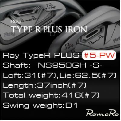 【ふるさと納税】RomaRo Ray Type R PLUS Iron #5-PW NS950S 6本書き割り【1569706】