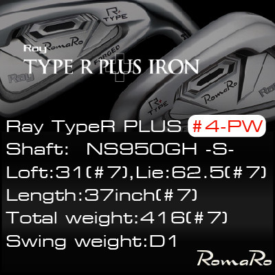【ふるさと納税】RomaRo Ray Type R PLUS Iron #4-PW NS950S 7本書き割り【1569708】