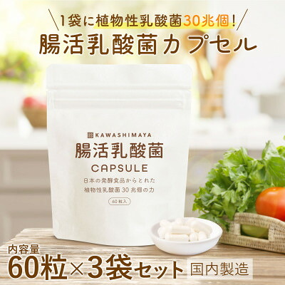 【ふるさと納税】日本の発酵食品からとれた「腸活乳酸菌カプセル」60粒×3袋(1袋:18g)セット【1620199】
