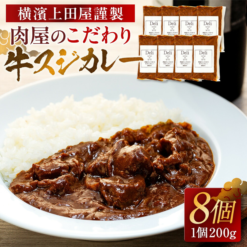 【ふるさと納税】横濱上田屋謹製　肉屋のこだわり牛スジカレー8個（調理済み） | 食品 加工食品 人気 おすすめ 送料無料
