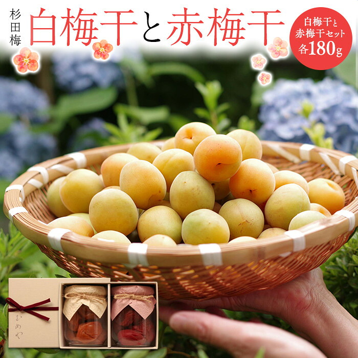 【ふるさと納税】杉田梅の白梅干と赤梅干のセット　１個 | 梅干 食品 加工食品 人気 おすすめ 送料無料 数量限定