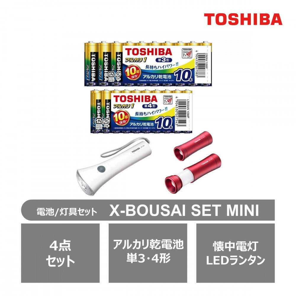 楽天市場】【ふるさと納税】東芝 アルカリ乾電池 3点セット 単3・4形 X