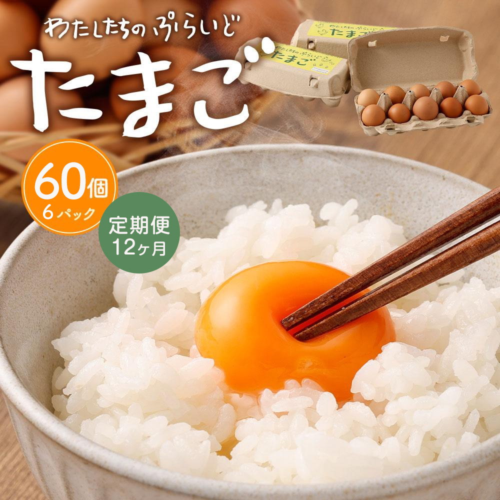 【ふるさと納税】【食べチョクアワード2025 畜産部門 1位の日本一のたまご】【単なる平飼いではない究極の卵】わたしたちのぷらいどたまご 定期便 12回 60個 ( 10個 × 6パック ) 毎月お届け 卵 たまご 料理アレンジ 卵かけご飯 目玉焼き 12ヶ月