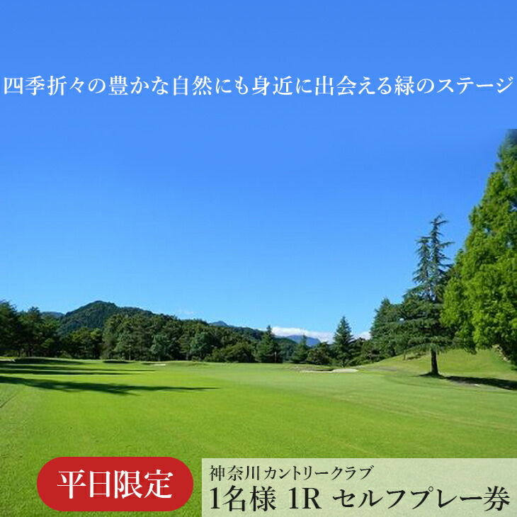 11064-30029125-01a.jpg