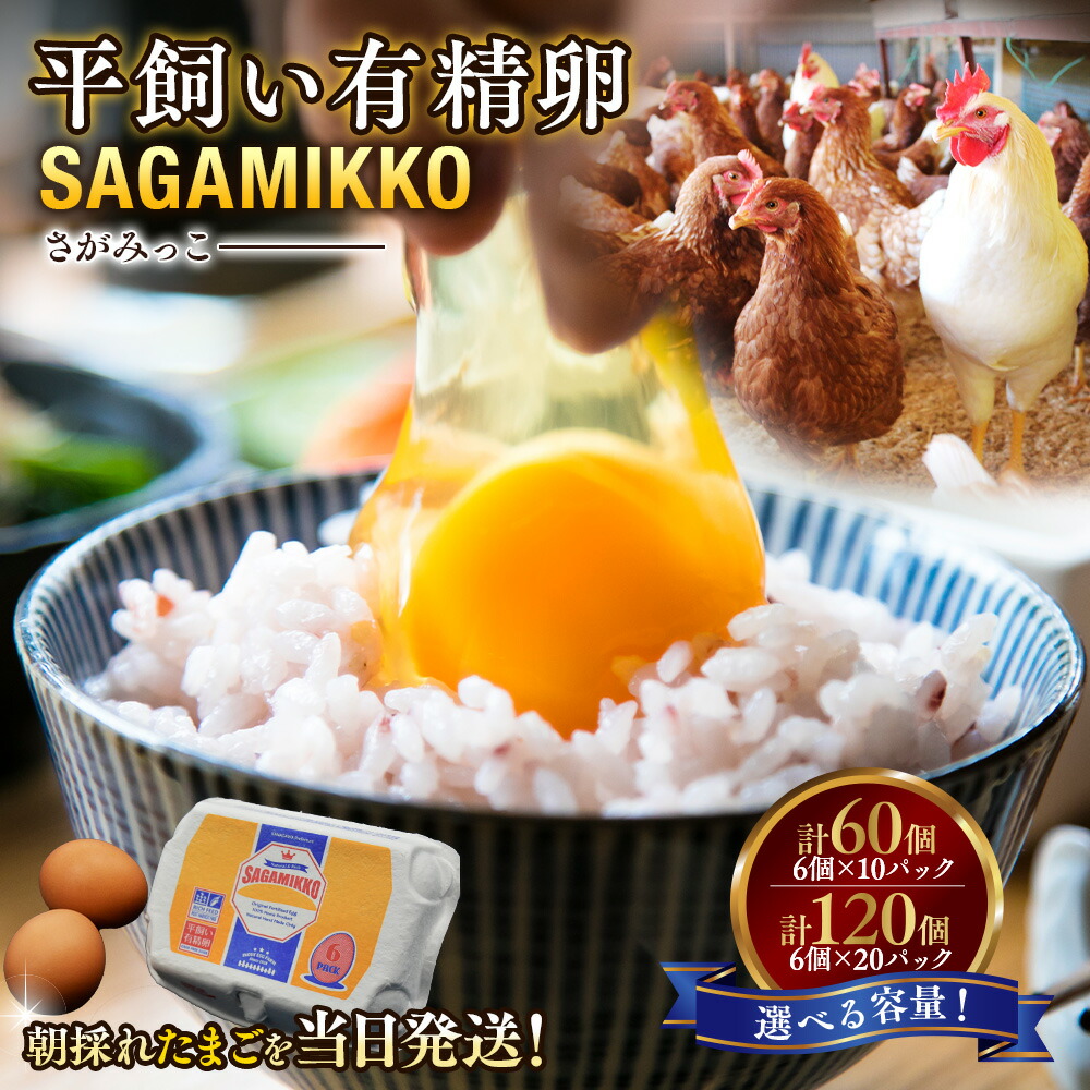 たまご 楽天市場】【ふるさと納税】卵 安全 安心 たまご タマゴ 国産 ＜白石