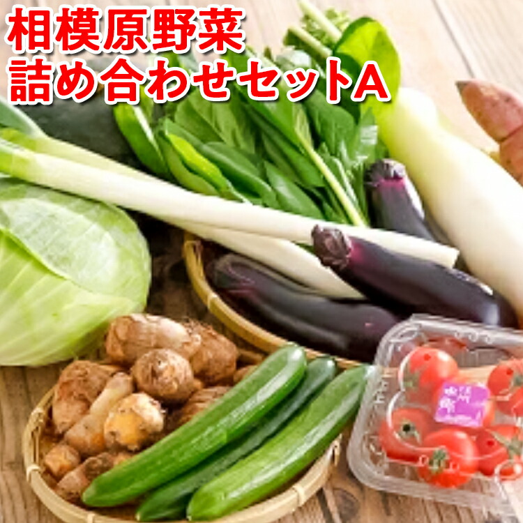 【ふるさと納税】相模原野菜詰め合わせセットA<br>※着日指定不可