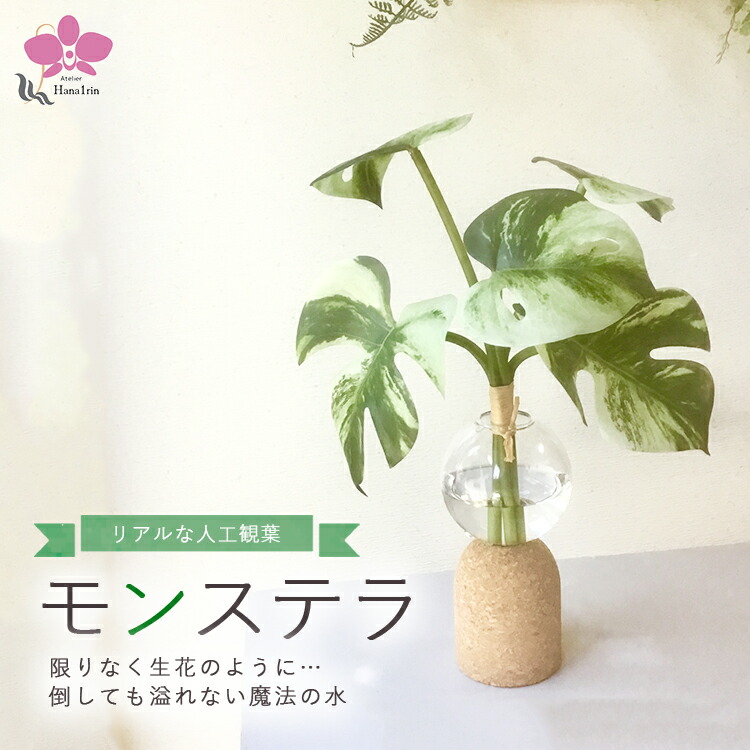 ＼どれを選んでも出来そこないなし！／スイーツ特集