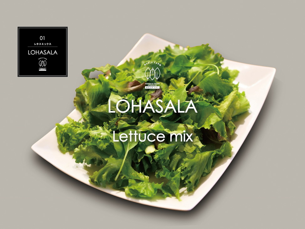 ふるさと納税 Sdgs野菜 Lohasala レタスミックスセット 小分け100g 10個セット サラダ 国産 無農薬 ヘルシー 室内 やさい 野菜 新鮮 離島への配送不可 北海道 沖縄本島は配送可能 2021年8月上旬 12月下旬頃に順次発送予定 Cdm Co Mz