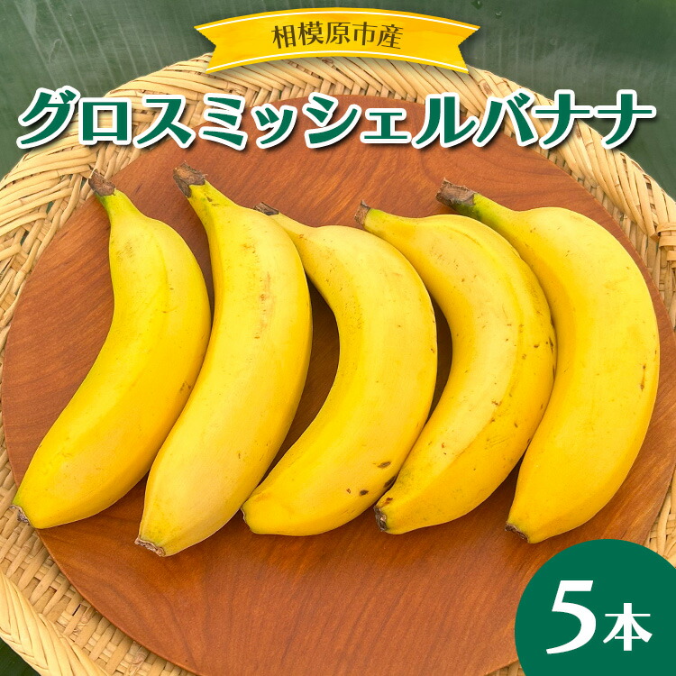 【ふるさと納税】相模原産 グロスミッシェルバナナ　5本　｜ばなな バナナ  皮まで食べられる 皮ごと 果物 くだもの フルーツ 国産 甘い 希少 朝食 神奈川 相模原 さがみはら ※2025年4月中旬頃より順次発送予定