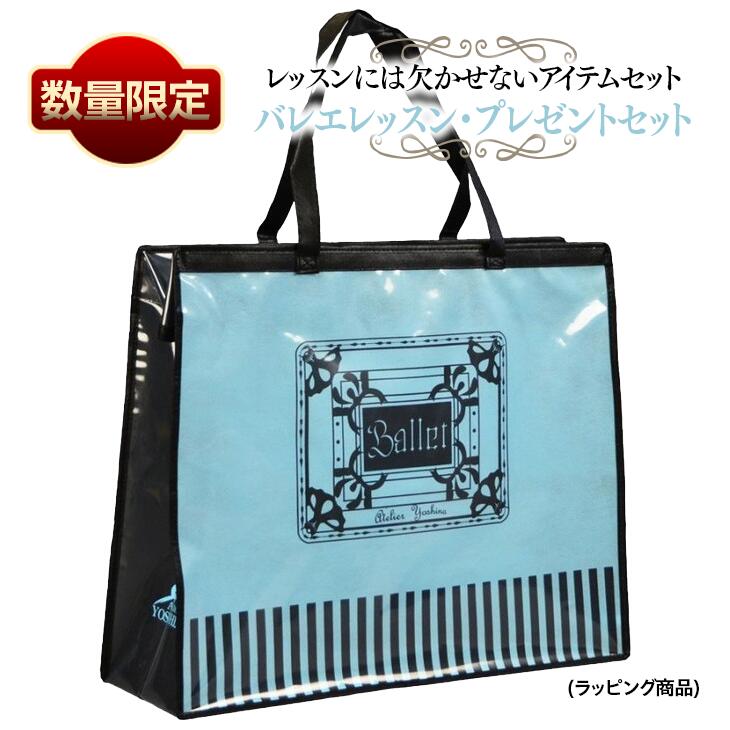 【ふるさと納税】【数量限定】バレエレッスン・プレゼントセット ※着日指定不可