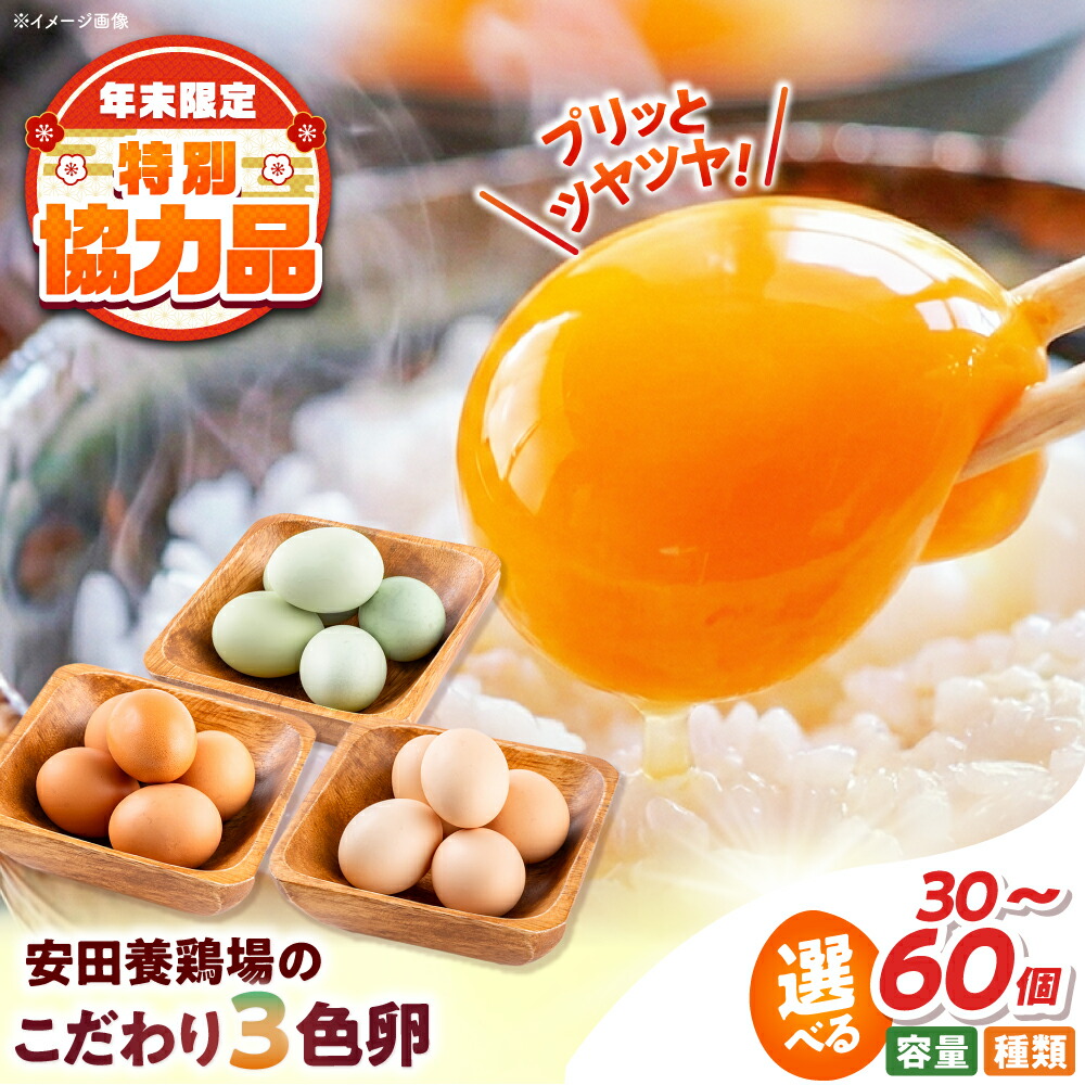 楽天市場】【ふるさと納税】5000円ちょうど たまご 20個入 彩たまご