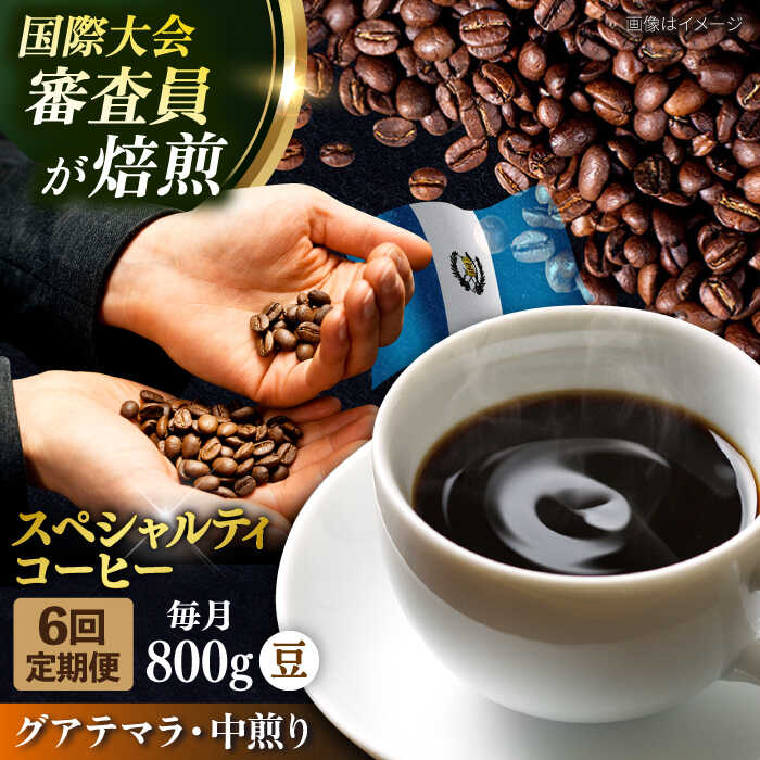 【ふるさと納税】【全6回定期便】コーヒー豆 自家焙煎 中煎り グアテマラ 200g×4 TSUKIKOYA COFFEE ROASTER ツキコヤ 珈琲 コーヒー定期 焙煎 こだわり 横須賀【株式会社RUINS】[AKAD014] 102,000円