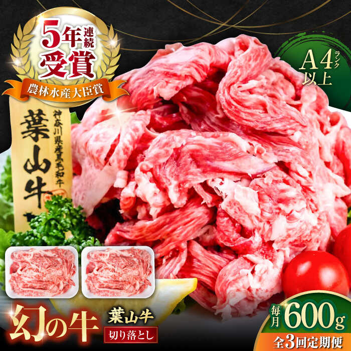 【ふるさと納税】【全3回定期便】葉山牛 切り落とし300g&times;2パック 計600g 国産牛 牛肉 切り落とし 薄切り 高級和牛 冷凍 黒毛和牛 国産 和牛 赤身 希少品種 小分け 横須賀 すき焼き すきやき ぎゅうにく きりおとし 大容量 神奈川銘品 お取り寄せ 【株式会社羽根】[AKAG027]｜神奈川県横須賀市