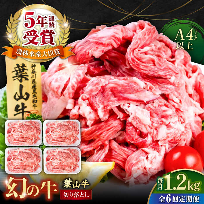 【ふるさと納税】【全6回定期便】葉山牛 切り落とし300g&times;4パック 計1.2kg 国産牛 牛肉 切り落とし 薄切り 高級和牛 冷凍 黒毛和牛 国産 和牛 赤身 希少品種 小分け 横須賀 すき焼き すきやき ぎゅうにく きりおとし 大容量 神奈川銘品 お取り寄せ【株式会社羽根】[AKAG034]｜神奈川県横須賀市