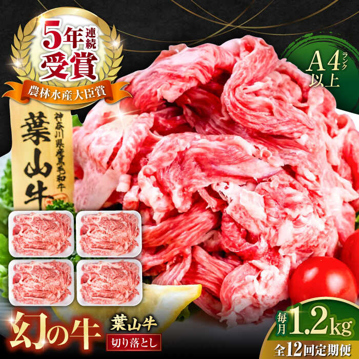 【ふるさと納税】【全12回定期便】葉山牛 切り落とし300g&times;4パック 計1.2kg 国産牛 牛肉 切り落とし 薄切り 高級和牛 冷凍 黒毛和牛 国産 和牛 赤身 希少品種 小分け 横須賀 すき焼き すきやき ぎゅうにく きりおとし 大容量 神奈川銘品 お取り寄せ【株式会社羽根】[AKAG035]｜神奈川県横須賀市