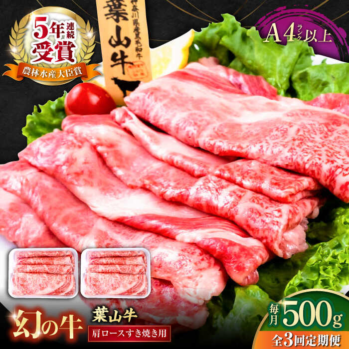 【ふるさと納税】【全3回定期便】葉山牛肩ロースすき焼き用 250g×2パック 計500g 国産牛 牛肉 切り落とし 高級和牛 冷凍 黒毛和牛 国産 和牛 肩ロース 赤身 希少品種 小分け すき焼き すきやき ぎゅうにく きりおとし 大容量 横須賀 お取り寄せ【株式会社羽根】[AKAG036] 56,400円