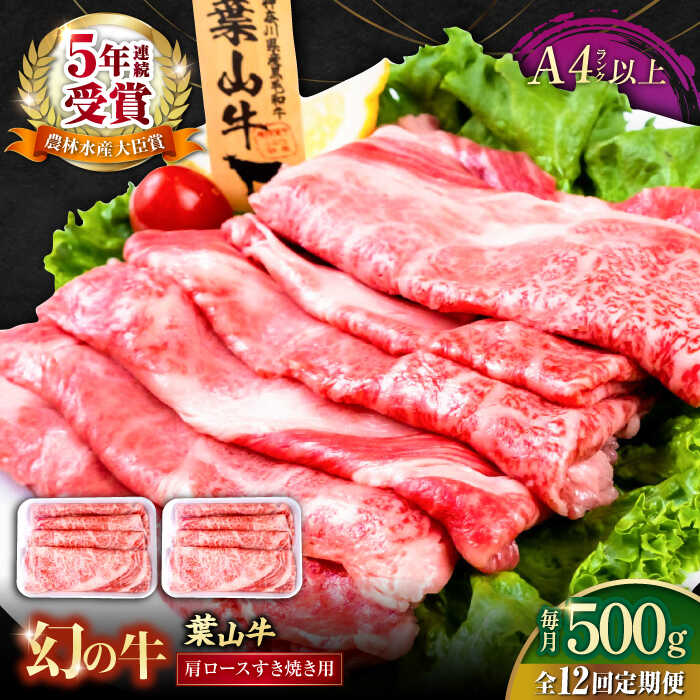 【ふるさと納税】【全12回定期便】葉山牛肩ロースすき焼き用 250g&times;2パック 計500g 国産牛 牛肉 切り落とし 高級和牛 冷凍 黒毛和牛 国産 和牛 肩ロース 赤身 希少品種 小分け すき焼き すきやき ぎゅうにく きりおとし 大容量 横須賀 お取り寄せ【株式会社羽根】[AKAG038]｜神奈川県横須賀市