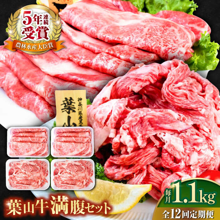 【ふるさと納税】【全12回定期便】葉山牛満腹セット（肩ロースすき焼用250g&times;2＋切落し300g&times;2）国産牛 牛肉 切り落とし 肩ロース 贅沢 セット たっぷり 大容量 1キロ超え 高級和牛 冷凍 黒毛和牛 国産 希少品種 小分け 横須賀 すき焼き ぎゅうにく【株式会社羽根】[AKAG044]｜神奈川県横須賀市