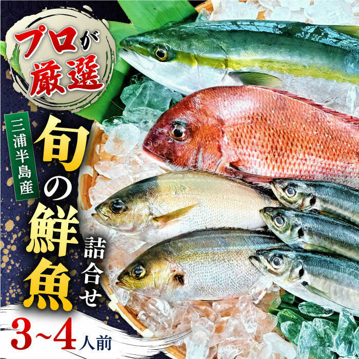 【ふるさと納税】魚 旬のおまかせ 鮮魚 厳選詰め合わせセット 3～4人前(2～３魚種) 新鮮 さかな お魚 水産物 食べ比べ 季節 旬 横須賀 【長井水産株式会社】[AKAJ002]