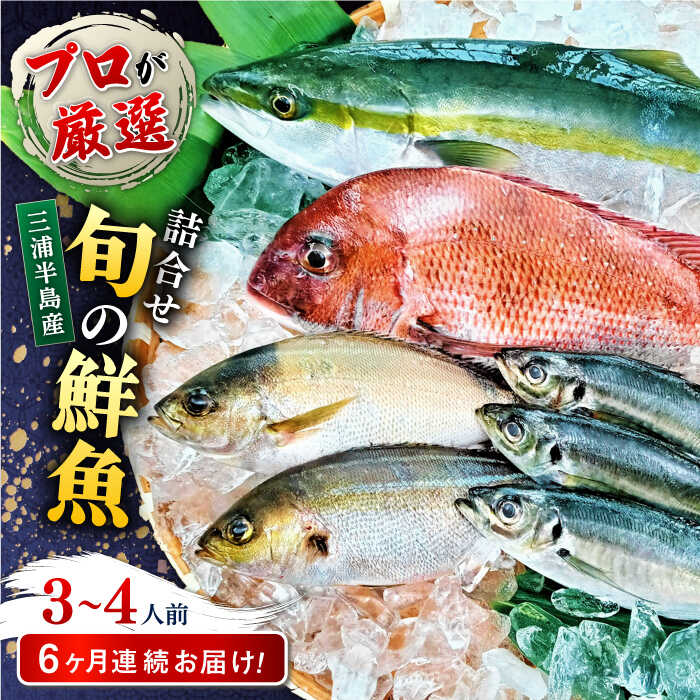 楽天市場】【ふるさと納税】魚 旬のおまかせ 鮮魚 厳選詰め合わせ