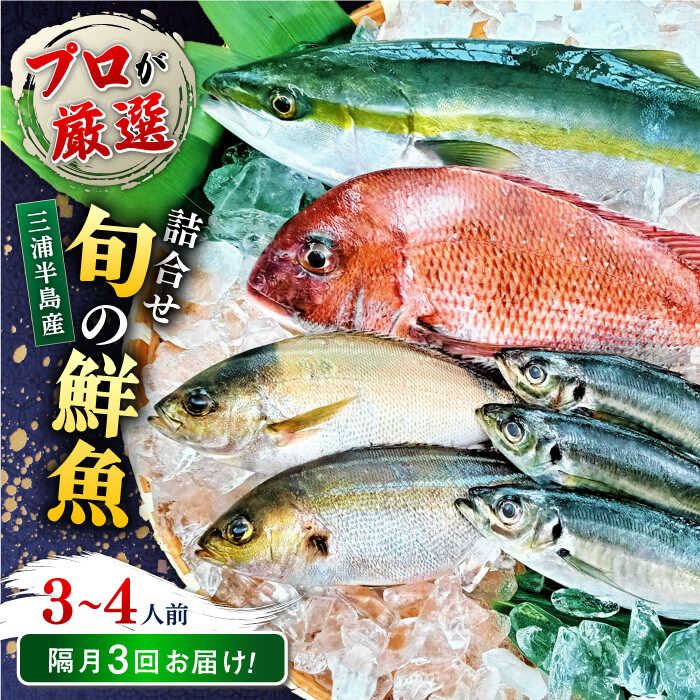 楽天市場】【ふるさと納税】魚 旬のおまかせ 鮮魚 厳選 楽天市場】【ふるさと納税】魚 旬のおまかせ 鮮魚 厳選