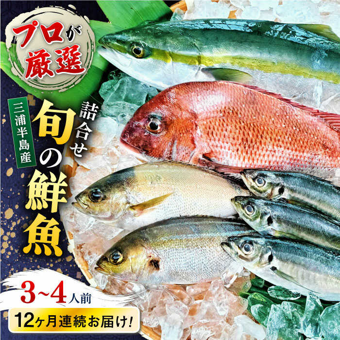 楽天市場】【ふるさと納税】定期便 12ヶ月 鮮魚店「魚忠」 厳選鮮魚