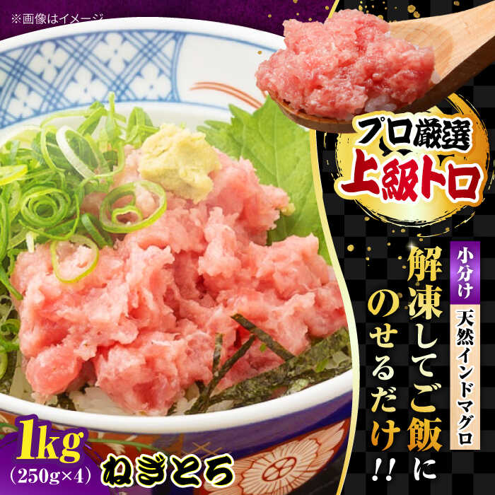 【ふるさと納税】天然 まぐろ ねぎとろ 約1kg（約250g×4パック）【横須賀商工会議所 おもてなしギフト事務局（本まぐろ直売所）】天然まぐろ まぐろ マグロ 鮪  とろ トロ 丼 小分け 希少 冷凍 プロ 厳選  [AKAK008]