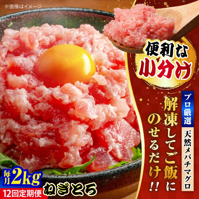 【ふるさと納税】【全12回定期便】まぐろ ねぎとろ 約2kg（約250g&times;8パック） 鮪 マグロ 魚 ネギトロ 横須賀【横須賀商工会議所 おもてなしギフト事務局（本まぐろ直売所 横須賀本店）】[AKAK040]｜神奈川県横須賀市