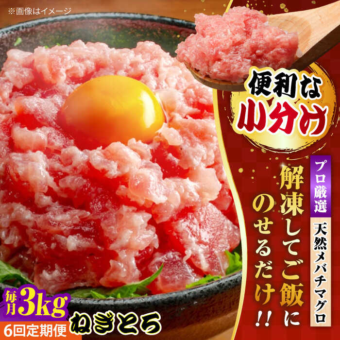 【ふるさと納税】【全6回定期便】まぐろ ねぎとろ 約3kg（約250g&times;12パック） 鮪 マグロ 魚 ネギトロ 横須賀【横須賀商工会議所 おもてなしギフト事務局（本まぐろ直売所 横須賀本店）】[AKAK042]｜神奈川県横須賀市