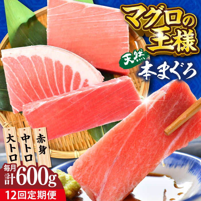 【ふるさと納税】【全12回定期便】天然 本まぐろ 大トロ・中トロ・赤身（約200ｇ&times;3柵）約600ｇ 鮪 マグロ 魚 刺身 横須賀 【横須賀商工会議所 おもてなしギフト事務局（本まぐろ直売所 横須賀本店）】[AKAK076]｜神奈川県横須賀市