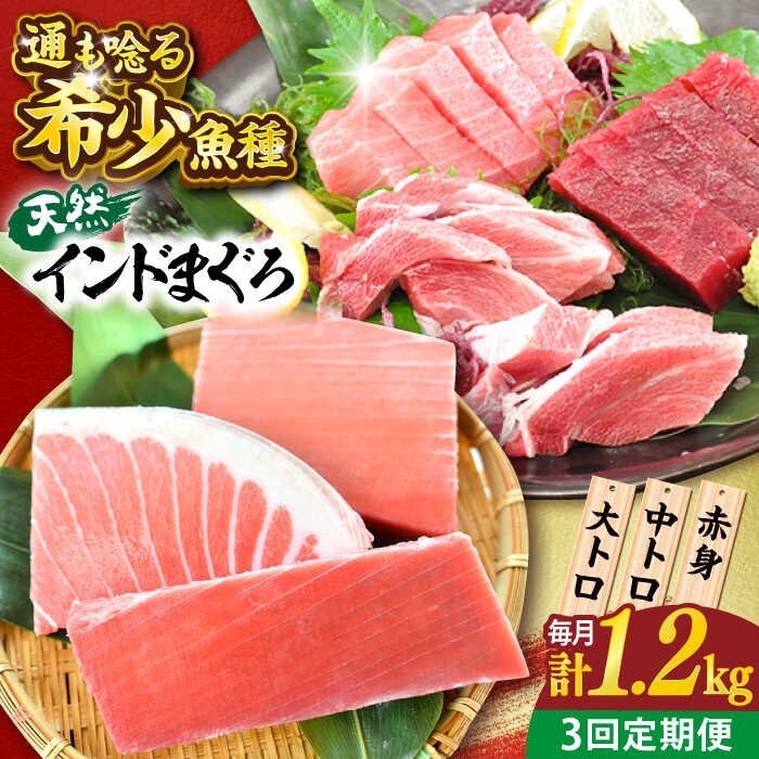 【ふるさと納税】【全3回定期便】天然 まぐろ 大トロ・中トロ・赤身（約200ｇ&times;6柵）約1200ｇ 鮪 マグロ 魚 刺身 横須賀【横須賀商工会議所 おもてなしギフト事務局（本まぐろ直売所 横須賀本店）】[AKAK083]｜神奈川県横須賀市