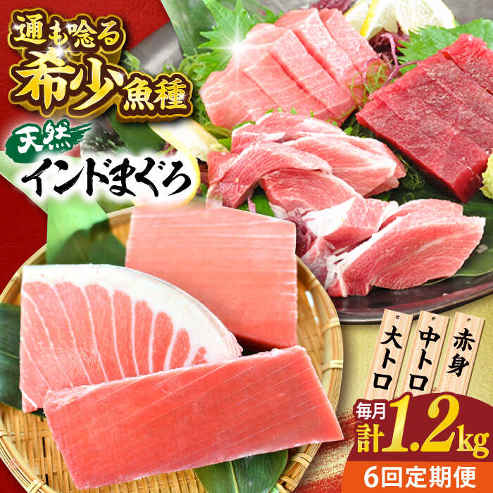 【ふるさと納税】【全6回定期便】天然 まぐろ 大トロ・中トロ・赤身（約200ｇ&times;6柵）約1200ｇ 鮪 マグロ 魚 刺身 横須賀【横須賀商工会議所 おもてなしギフト事務局（本まぐろ直売所 横須賀本店）】[AKAK084]｜神奈川県横須賀市