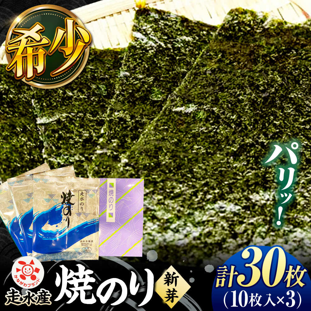 【ふるさと納税】走水 焼のり（新芽） 3帖（10枚&times;3）海苔 のり 焼き海苔 やきのり 新芽【株式会社向井製茶問屋】[AKBB004]｜神奈川県横須賀市
