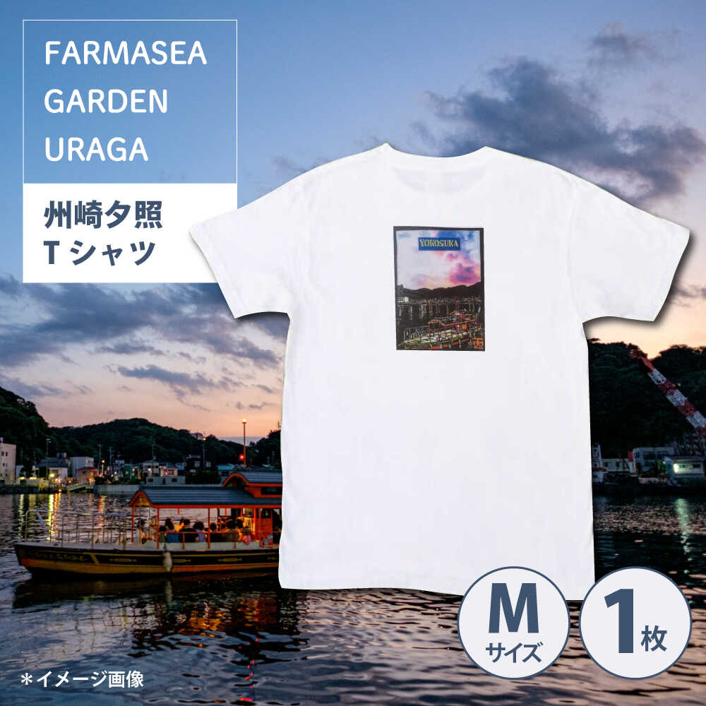 横浜DeNAベイスターズしっぺい返し品特集！