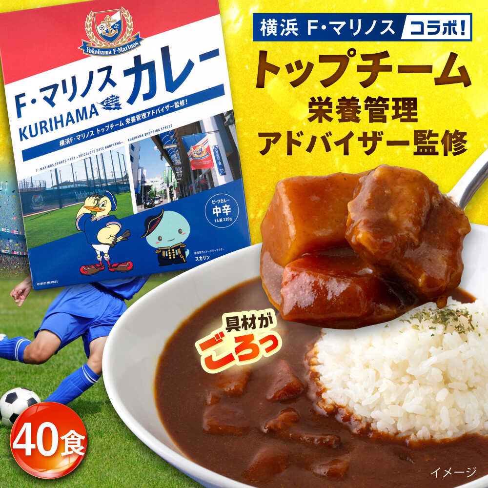 楽天市場】【ふるさと納税】潜水艦せとしおカレー・海軍カレー
