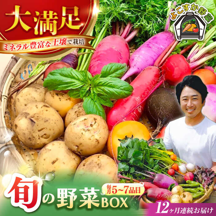 【ふるさと納税】【全12回定期便】すずなり採れたて野菜BOX（5～7品目）野菜セット 詰め合わせ 季節野菜 やさい 産地直送 旬 新鮮 定期 定期便 横須賀【鈴也ファーム】[AKCE004]