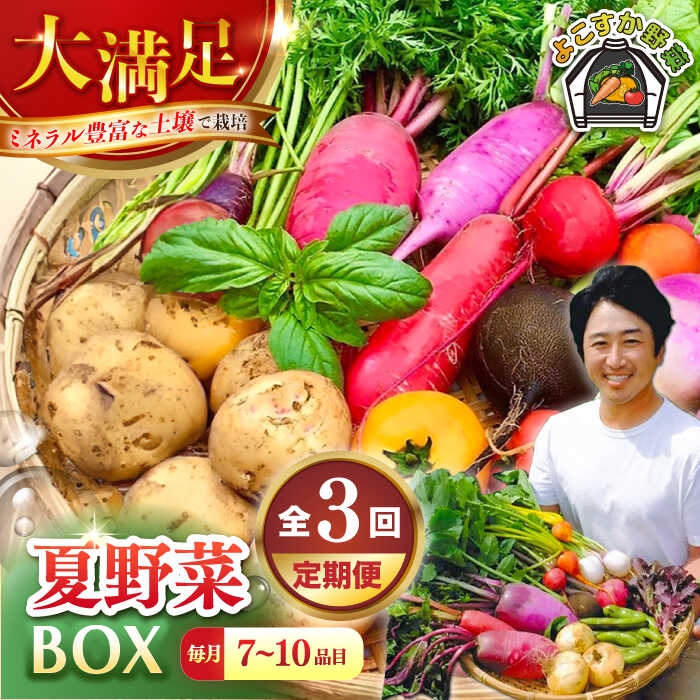 【ふるさと納税】【先行予約】【全3回定期便】すずなり採れたて野菜BOX　(7～10品) 夏（5月～7月）【鈴也ファーム】[AKCE007]