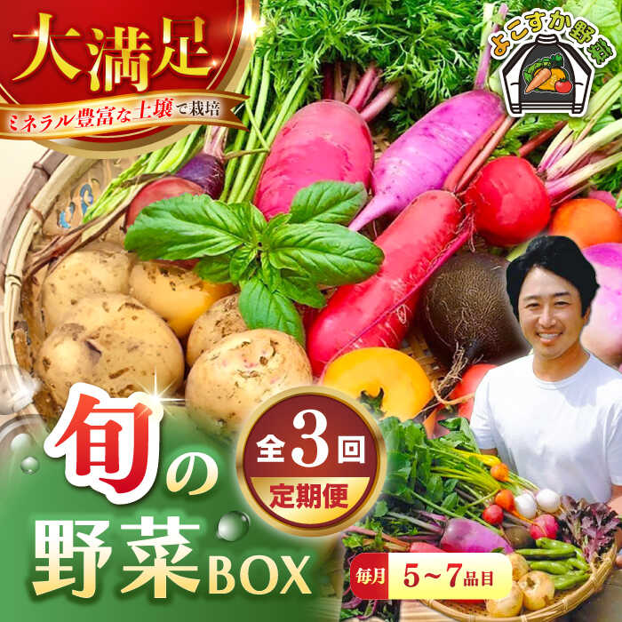 【ふるさと納税】【全３回定期便】すずなり採れたて野菜BOX　(5～7品）【鈴也ファーム】[AKCE011]
