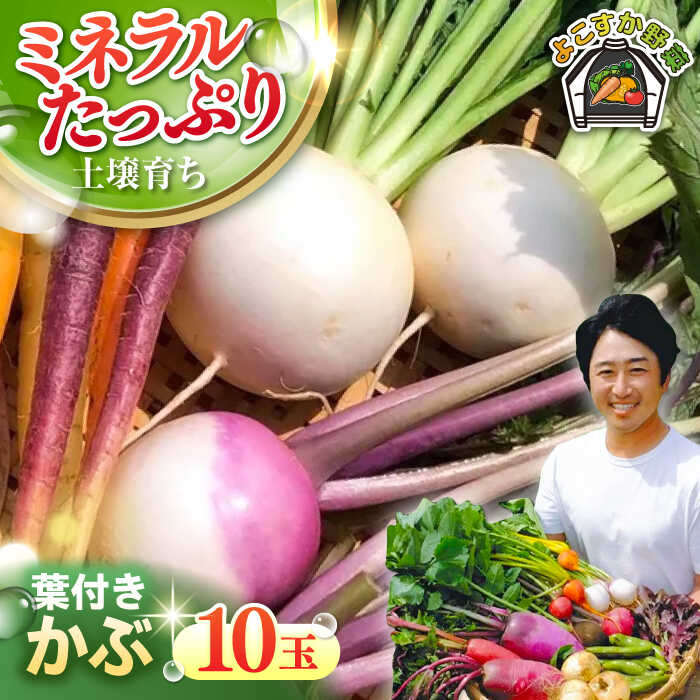 【ふるさと納税】【先行予約】【数量限定】葉付き　かぶ 10玉（9月～6月）【鈴也ファーム】[AKCE016] 5000円 5千円 5千