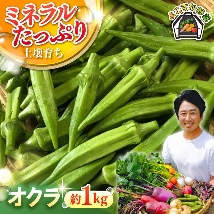 【ふるさと納税】【先行予約】【数量限定】オクラ　約1kg（7月）【鈴也ファーム】[AKCE023] 7000円 7千円