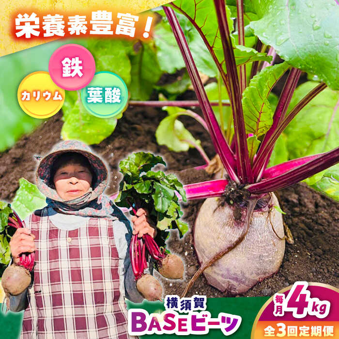 【ふるさと納税】【全3回定期便】横須賀BASEビーツ 4kg（1kg×4袋）【ゆり子ファーム】ビーツ ゆり子ファーム 野菜 横須賀野菜 [AKCR004]