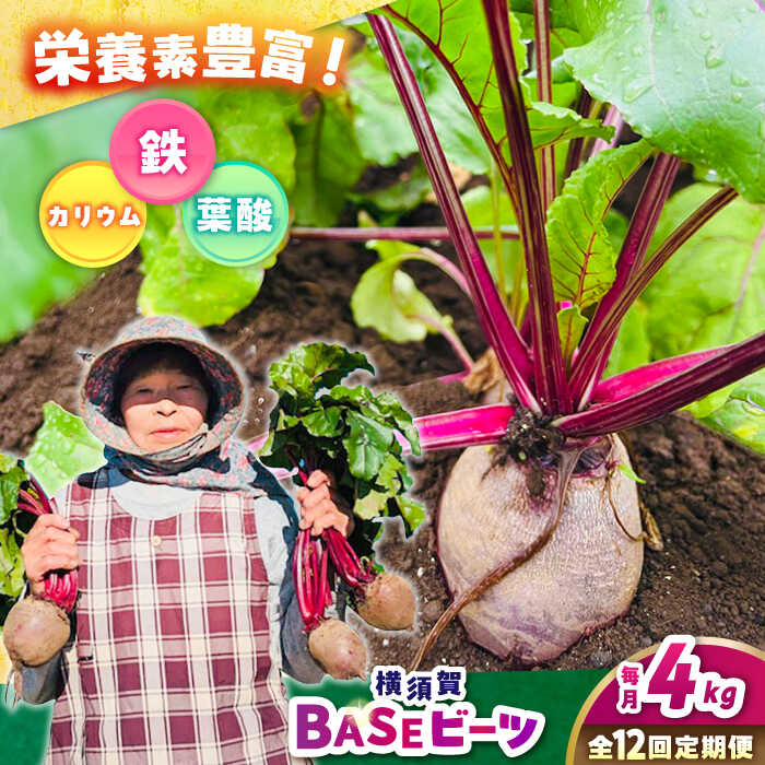 【ふるさと納税】【全12回定期便】横須賀BASEビーツ 4kg（1kg×4袋）【ゆり子ファーム】ビーツ 横須賀野菜 野菜 びーつ ゆり子ファーム 農園 [AKCR006]