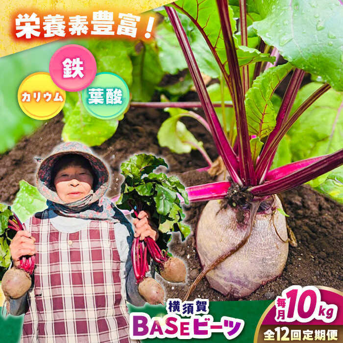 【ふるさと納税】【全12回定期便】横須賀BASEビーツ 10kg（1kg×10袋）【ゆり子ファーム】ビーツ 横須賀野菜 野菜 びーつ ゆり子ファーム 農園[AKCR012]