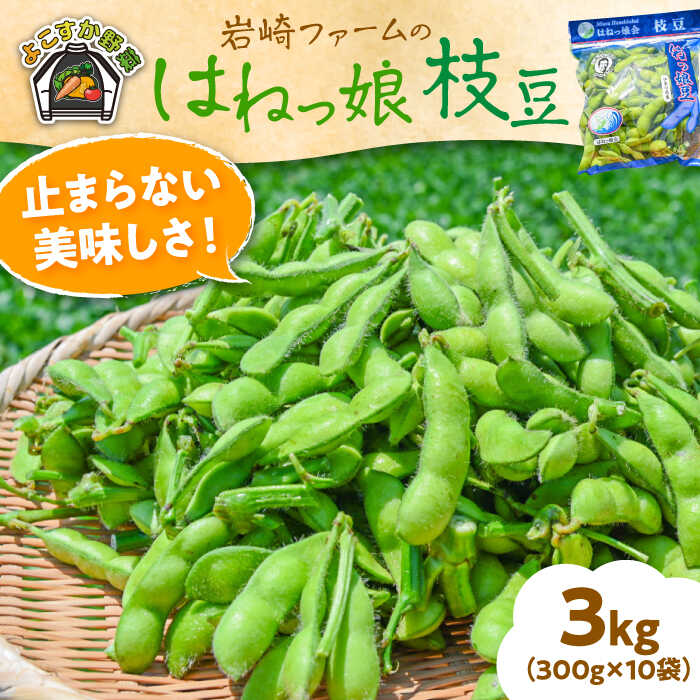 枝豆 2026年8月 2回お届け】くろさき茶豆1.2kg 2026年 先行予約 定期便 枝豆